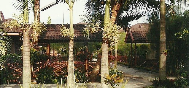Mushola Saung Geulis